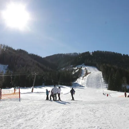 Luxury Holiday In Steiermark, With Terrace Chalet *