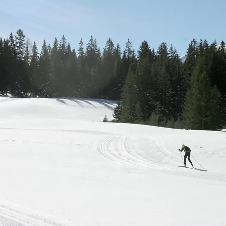 Luxury Holiday In Steiermark, With Terrace Chalet Hohentauern
